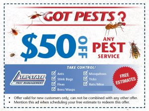 Tristate Pest Website Offers7